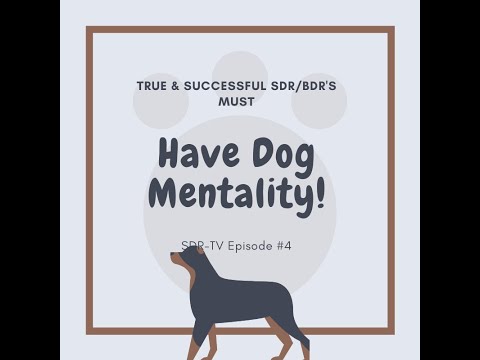 SDR-TV #4:  Successful SDR/BDR's MUST have a Dog Mentality