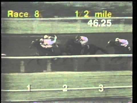 1992 Santa Maria H. -- Paseana