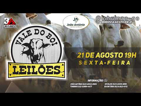 VALE DO BOI LEILOES - INHUMAS GO  - LEILAO VIRTUAL E PRESENCIAL -  21 DE AGOSTO 2026