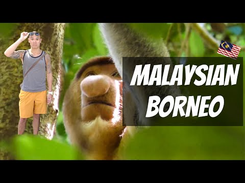 MALAYSIAN BORNEO | Sarawak & Sabah