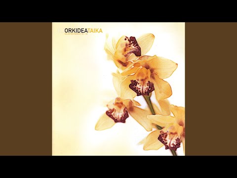 Labrynth (Orkidea Remix)