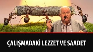 Necmi İlgen - Çalışmadaki Lezzet ve Saadet