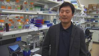 Researchers at Virginia Tech are testing a new way to prevent overdoses