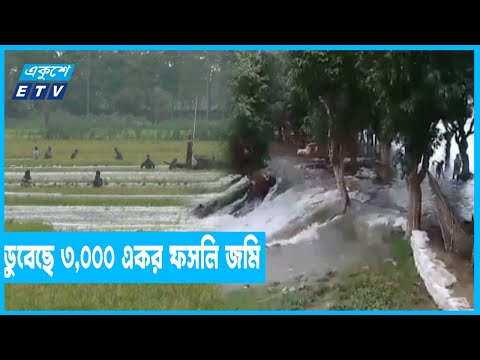 হাওরের বাঁধ ভেঙ্গে পানি ঢুকেছে সুনামগঞ্জের লোকালয়ে