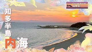 【内海LiveCam】今の波は？ live webcam