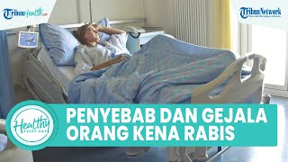 Waspadai Penyakit yang Mematikan! Penyebab dan Gejala Seseorang Terinfeksi Rabies pada Hewan