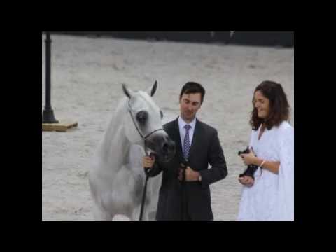 Senior Female - Group B Winner - Tehama Ballalina