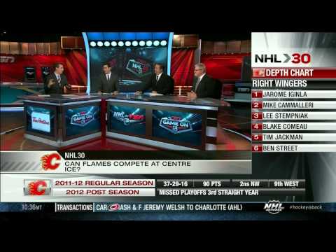 NHL 30 : NHL Teams season 2012/13