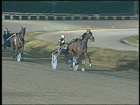 Trotto 17/01/2017 - 6ª corsa