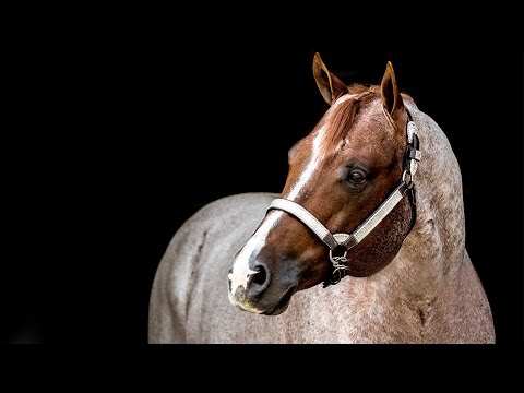 VS Code Red: 60 Second Commercial