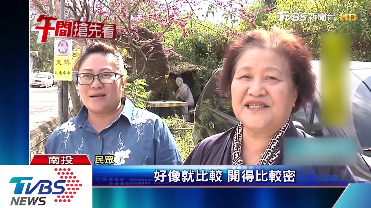 超級美!全台「粉紅」狂潮 這些地點櫻花綻放