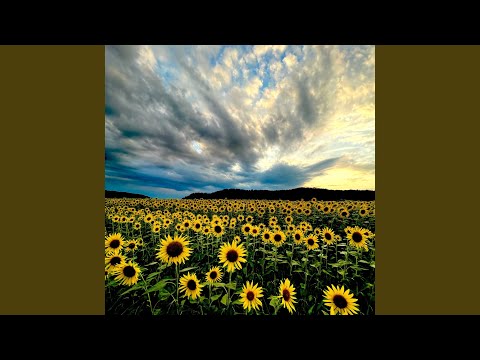 Beautiful Memories (Demo ver)