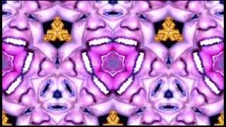 Animal (Against me!) - Avin Cx- Dt