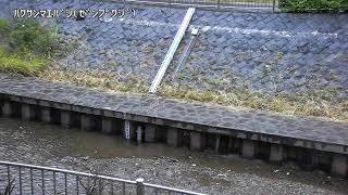 白山前橋映像監視局