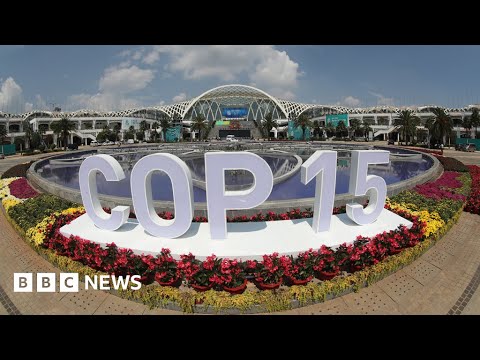 COP15聯合國生物多樣性峰會在加拿大開幕 - BBC新聞 (COP15 UN biodiversity summit opens in Canada – BBC News)