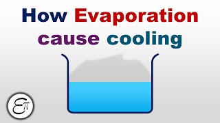 How does Evaporation cause cooling || Matter in our Surroundings - 5 || in HINDI for Class 9 NCERT