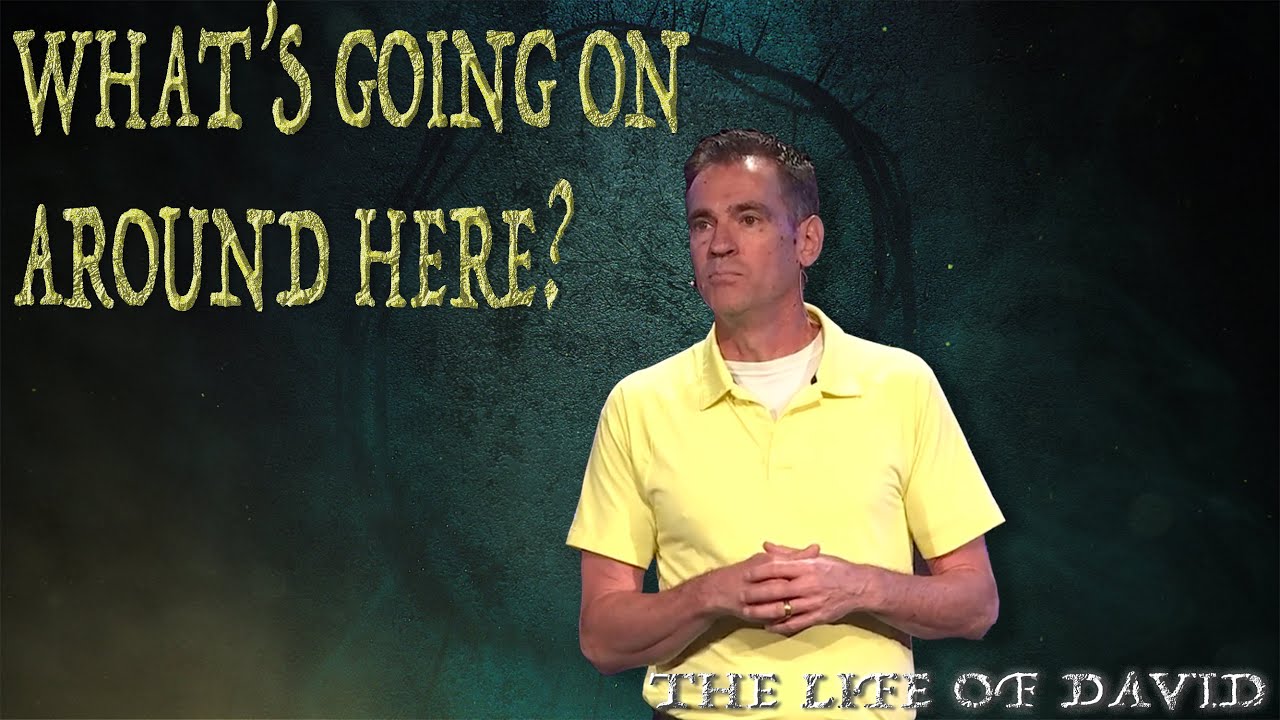 What's Going on Around Here? | Shadow King