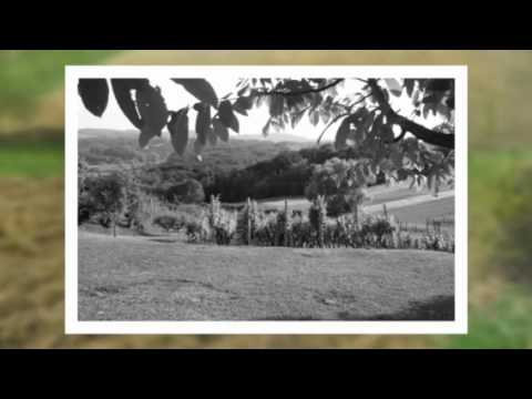 MUZIKASI Z VETERNICE - Lijepo je Zagorje