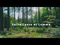 Hiking ENTRE LESSE ET LOMME in the Belgian Ardennes