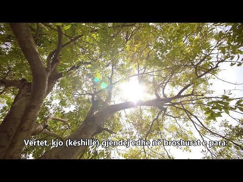 87 - Surja el Ala -  Reciton Liman Lala