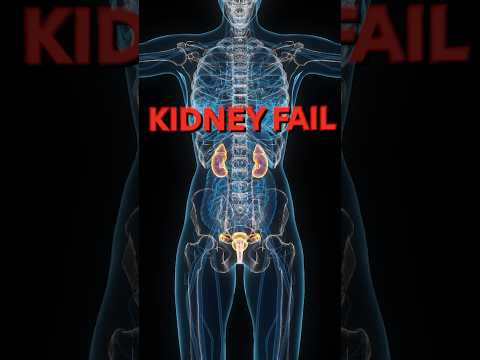 Does creatine cause kidney failure? Never take creatine without knowing these 5 facts! #creatine ...