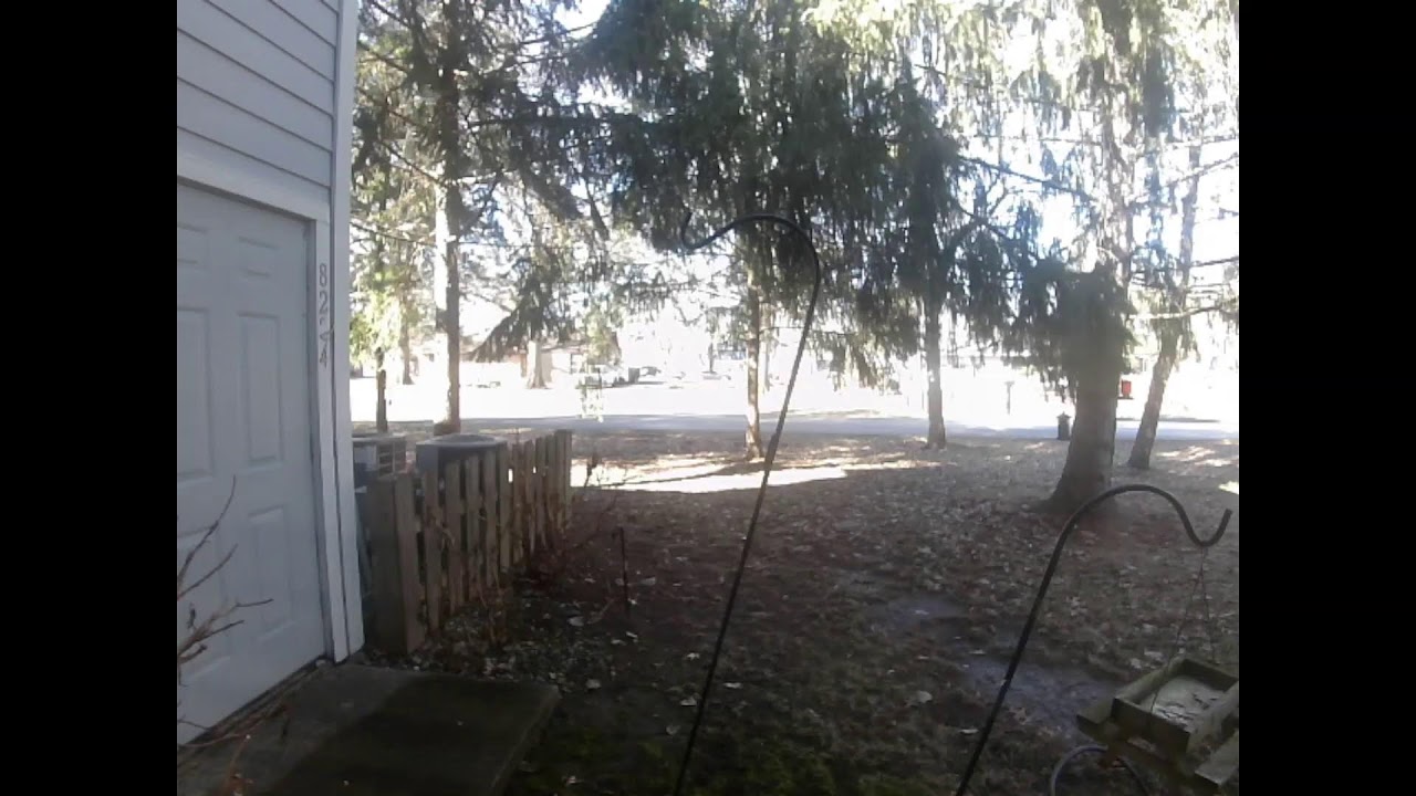 Backyard Live Stream2025-02-25