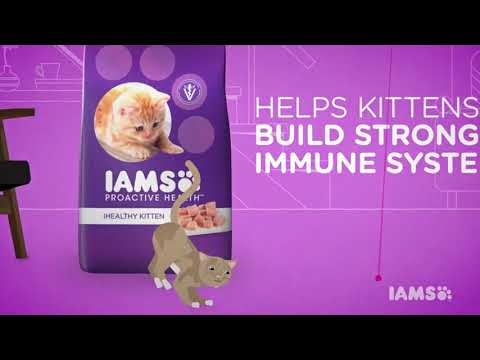 IAMS Pet Cat Food
