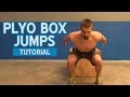 Plyo Box Jumps Tutorial - Are you Jumping Right?