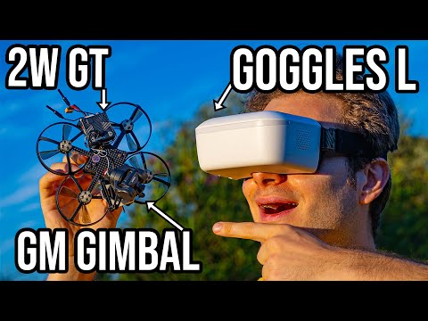 Digital Innovation! Caddx Walksnail Goggles L | Avatar GT | GM Gimbal Review