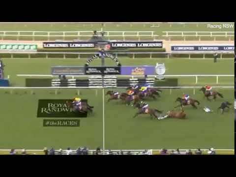 Video: Two horses take brutal falls at Royal Randwick