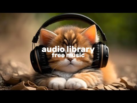 The Curious Kitten By Aaron Kenny