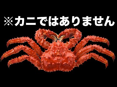 Cardisoma carnifexについて詳しく解説