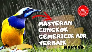 Download lagu masteran cucak cungkok dan gemericik air - terbaik mp3 Download lagu masteran cucak cungkok dan gemericik air - terbaik mp3