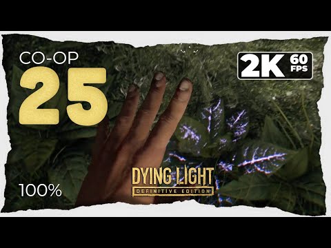 Dying Light (PC) - Part 25 'Midnight Bride' Co-op 100% HD Walkthrough - No Commentary