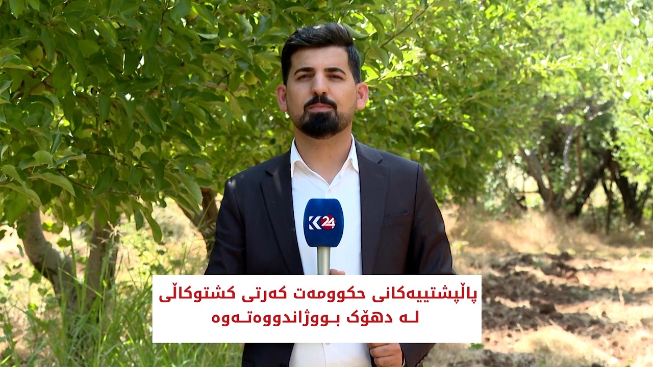 ڤیدیۆ | پاڵپشتییەکانی حکوومەت کەرتی کشتوکاڵی لە دهۆک بووژاندووەتەوە
