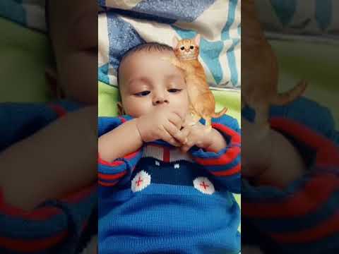 🥳😂😂😂😂#shorts #gcshorts #comedy #reels #funny #youtube #facebook #shortsvideo