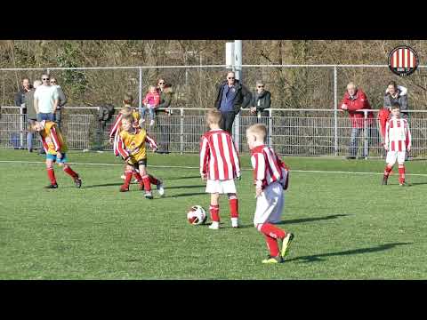 MVV '27 JO8 1 - Den Hoorn JO8 3