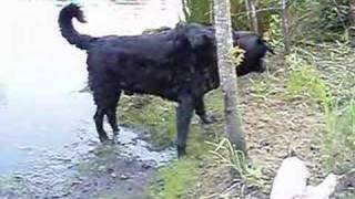 Writing Songs With Jack