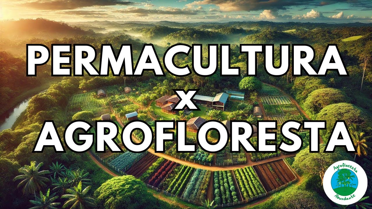 Quais são as diferenças entre Permacultura e Agrofloresta?