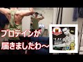 【筋トレ日記】広背筋トレとビーレジェンドのプロテインを飲む【5月19日】