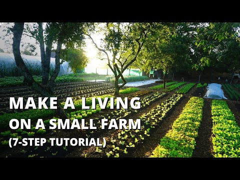 , title : 'How to Start a Farm From Scratch (Beginner's Guide to Growing Vegetables for Profit)