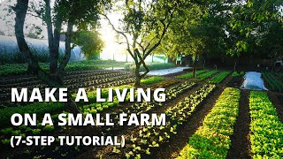 How to Start a Farm From Scratch (Beginner's Guide to Growing Vegetables for Profit)