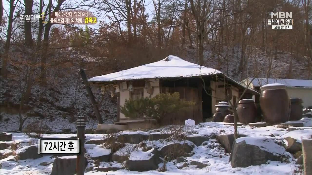 [리얼다큐 숨] 묵혀야 산다! 독의 숙성 약의 숙성