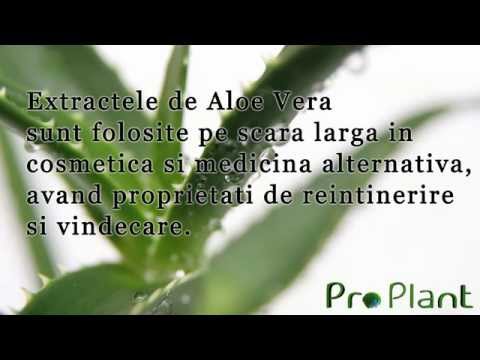 mhc pierdere în greutate
