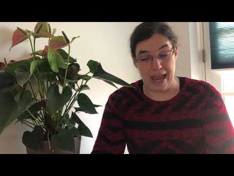 Historietimen 4- 95 sætninger der forandrede hele verden