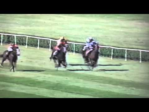 Nagroda Próbna - 4.07.2004 - Dżeni Lady  (Professional - Dżeniphera)