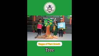 Environment week celebration || By Nursery, Jr.kg and Sr.kg