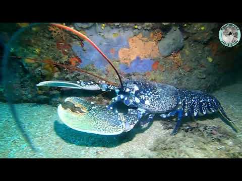 22.05.2022 Platja d'Aro