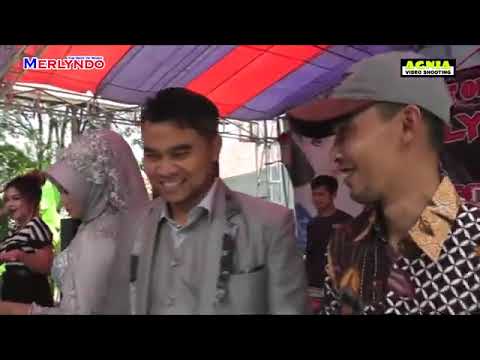 Winda kamelia - Wartiyem