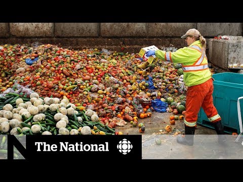 , title : 'Canadians get creative in solving food waste problem'